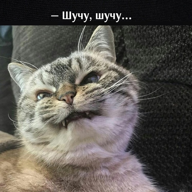 😂😂😂