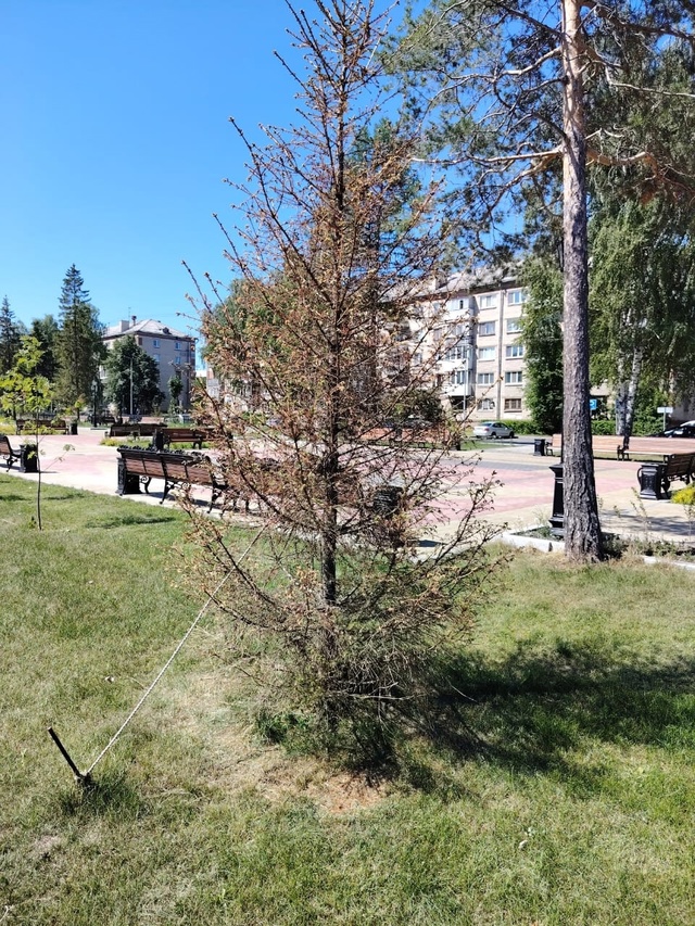 Говорят, хорошо там, где нас нет. И это действительно та...