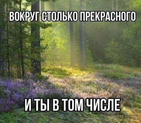 Утренняя подборочка