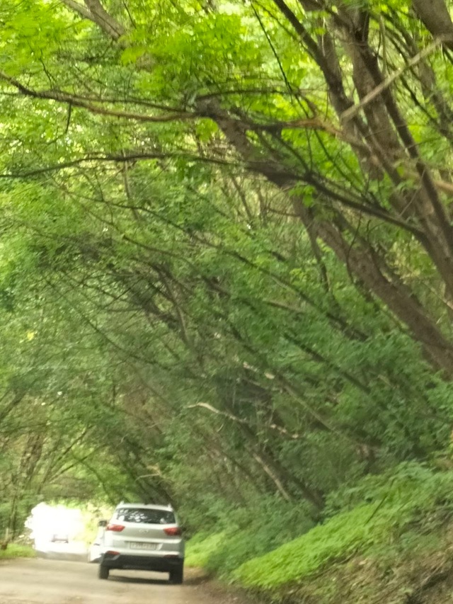 Руководство До-до где ДНС
Передайте своим ,,доставщика...