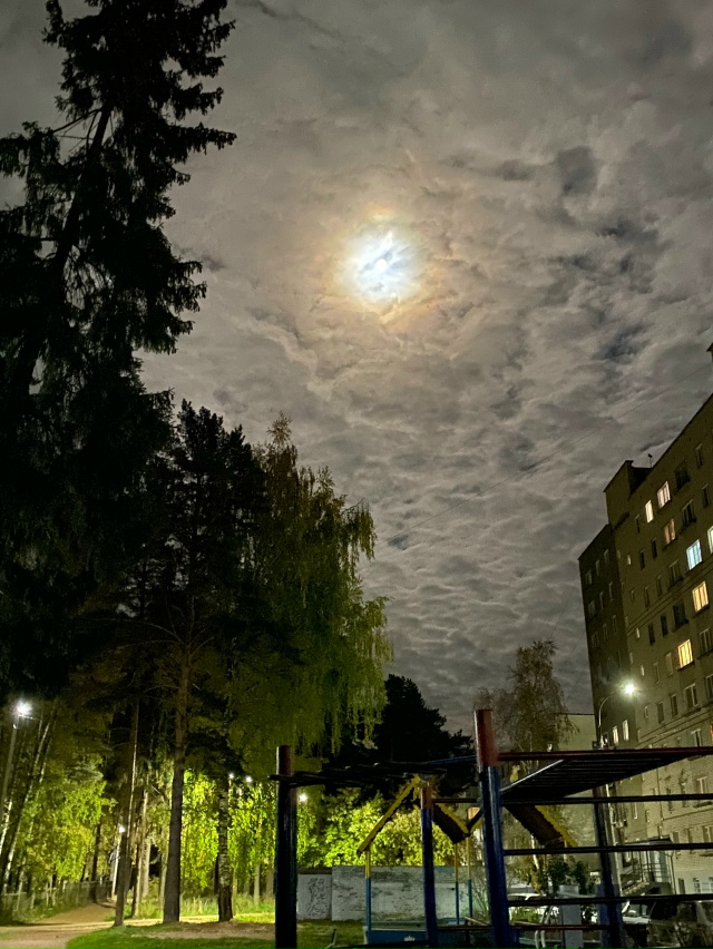 Вечерняя осень