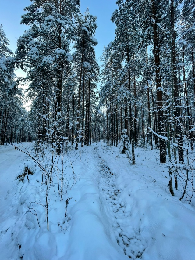 Доброй ночи, Никольск❤