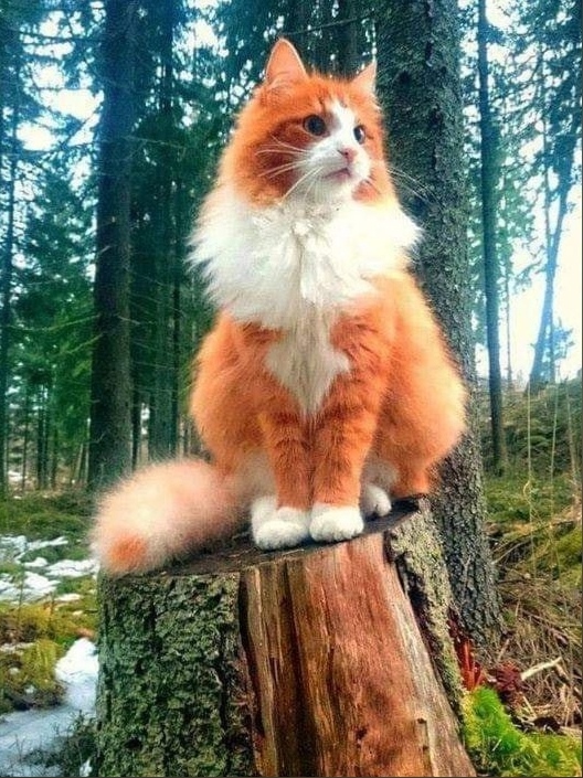 Ловите момент и наслаждайтесь им!!!