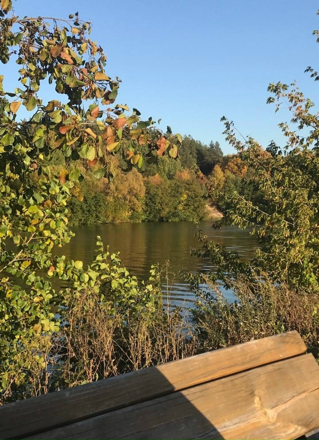 Фото спутника от наших подписчиков