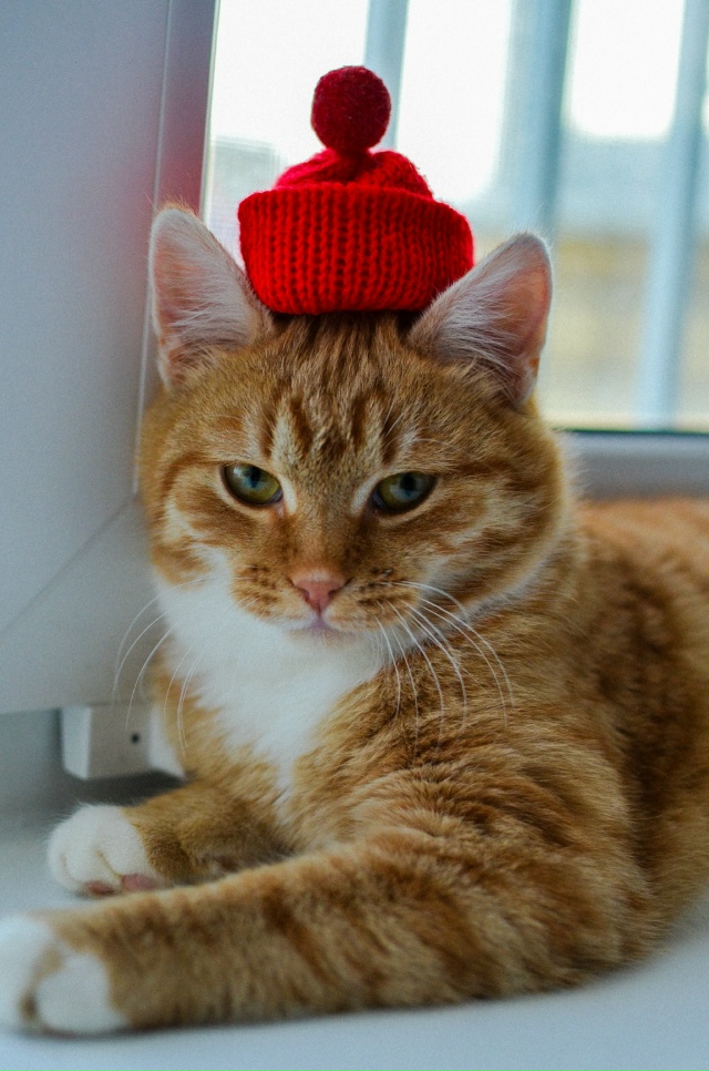 Здравствуйте.
Опубликуйте пожалуйста.
Ищет дом в Можа...