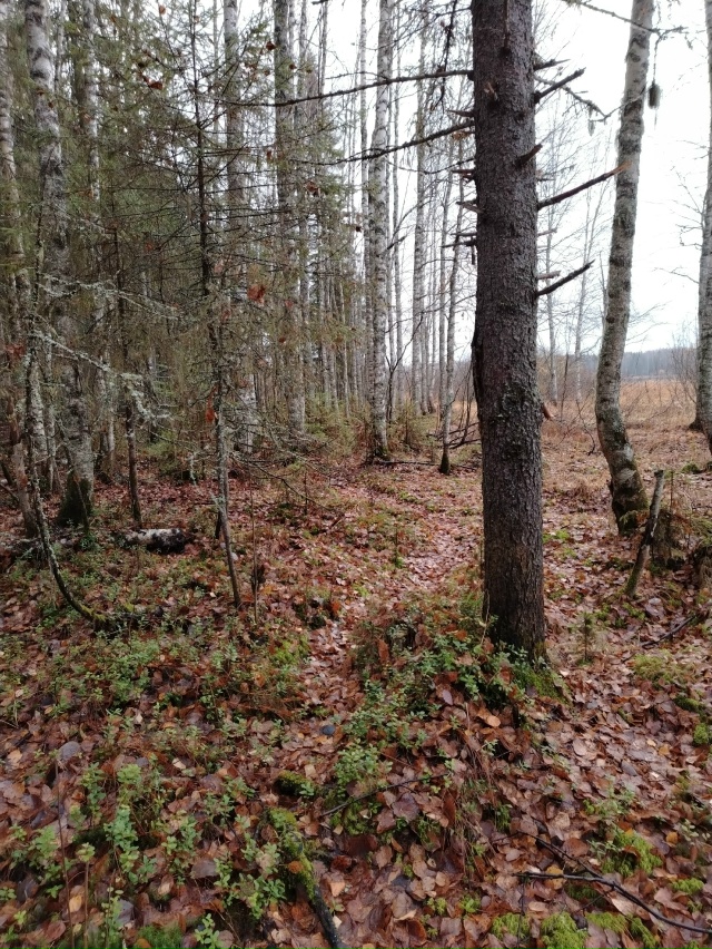 Доброго утра, Никольск❤