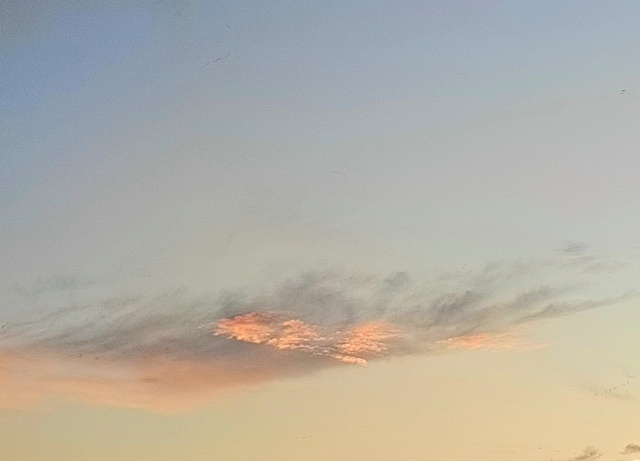 Друзья, ловите крыло Ангела... 🤗