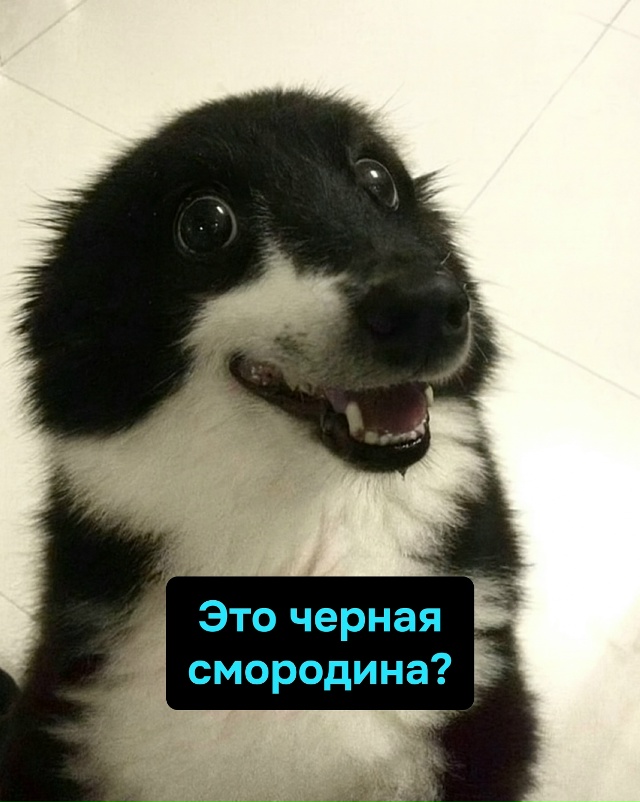 Уровень логики: красная, белая и зелёная — всё одновре?...