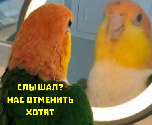 ИП в России могут полностью отменить: в Госдуме заявил?...