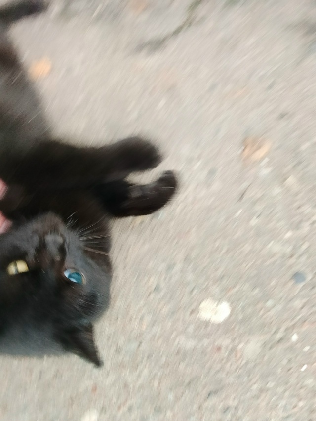 Такая милота у гастронома( по новому незнаю как называ?...