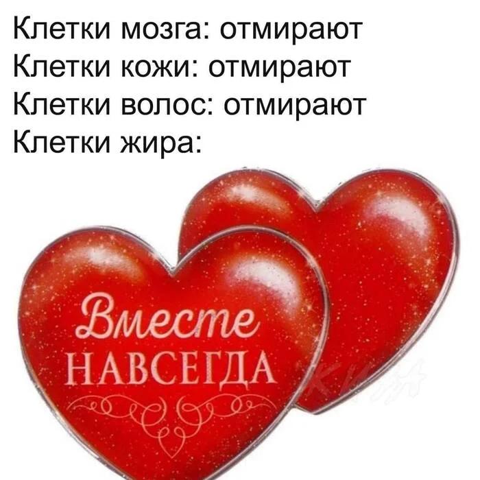 В мире впервые превышен рубеж в 1 миллиард человек с ожирением.
Исследование Пироговского универси