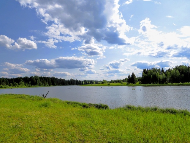 Деревня Комары 🌿