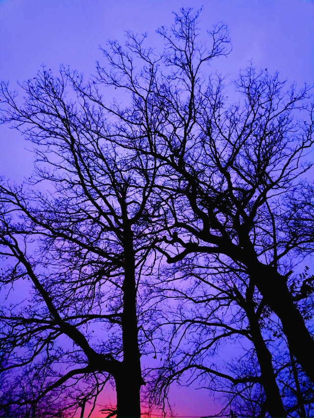 Такие разные октябрьские закаты🌄
Время 18.18.18