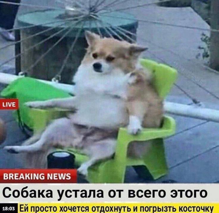 состояние