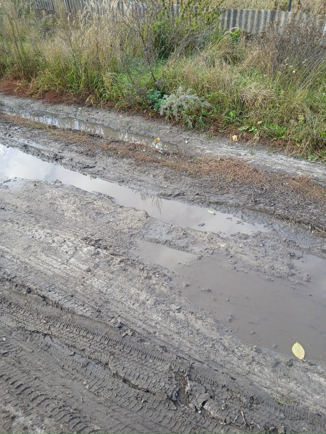 Дороги в деревне Красное Трубчевского Района Брянской...
