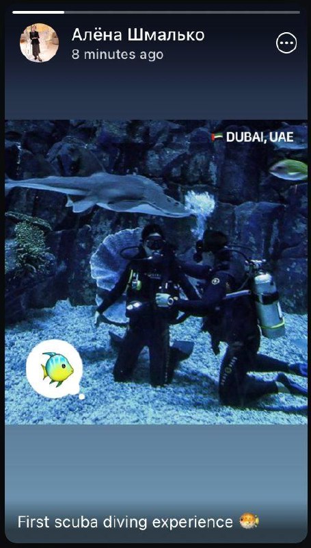 В поисках дна цены TON?
Или она теперь тут полы моет?