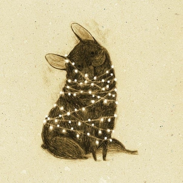 Рaдость нельзя отклaдывaть, потому что позже для нее мож...