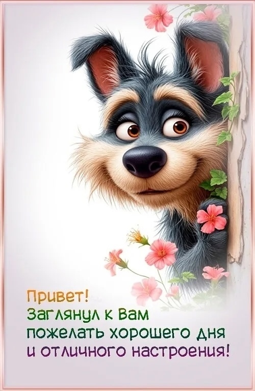Доброе утро, группа!