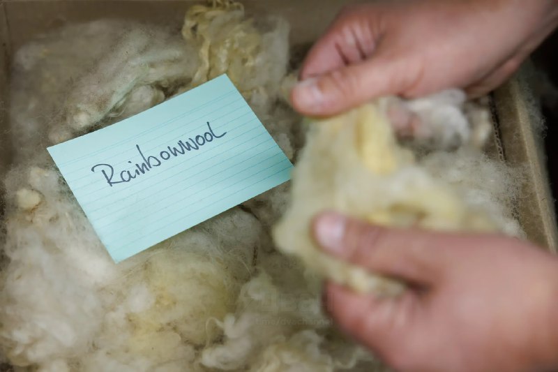 На показе мод в Нью-Йорке представили одежду из гейской шерсти
Это не ошибка и не рофл: шизоактивис