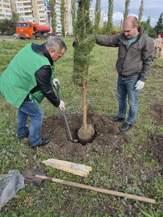 🍃🌲🌳 Салават стал зеленее! Итоги масштабной высадки....