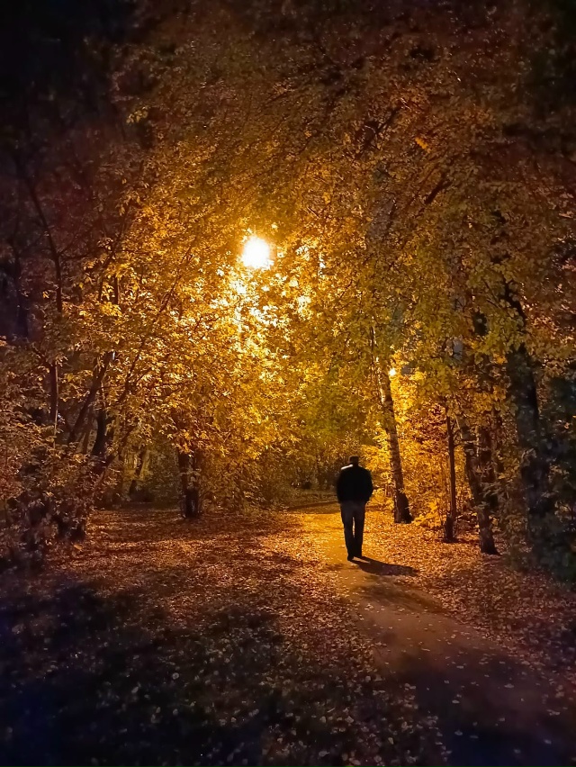 Доброй ночи! ✨✨✨