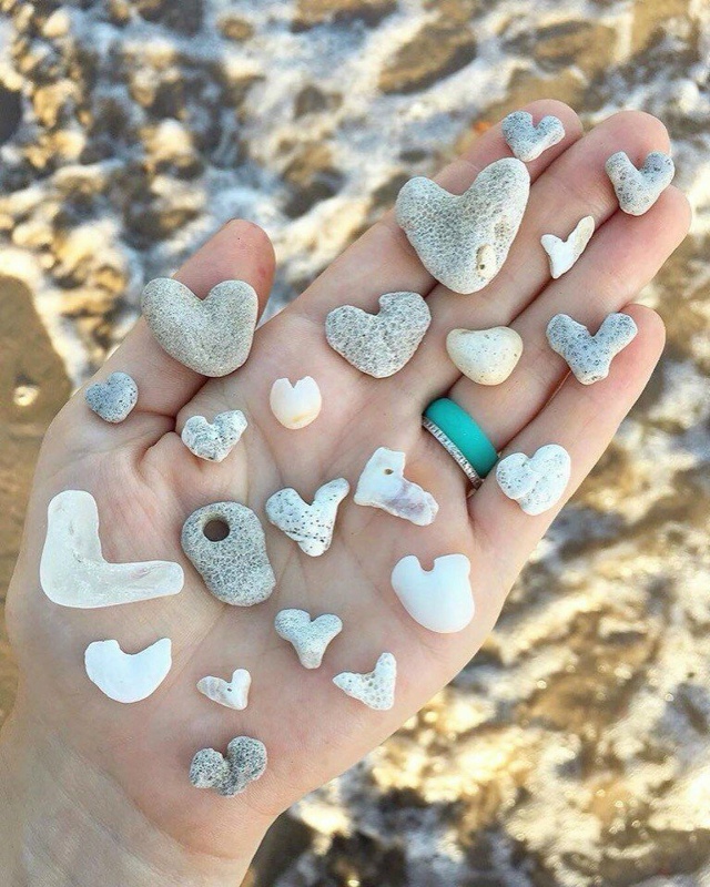 Подарочки с моря) Красота!