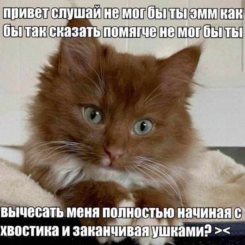 Утренняя подборочка