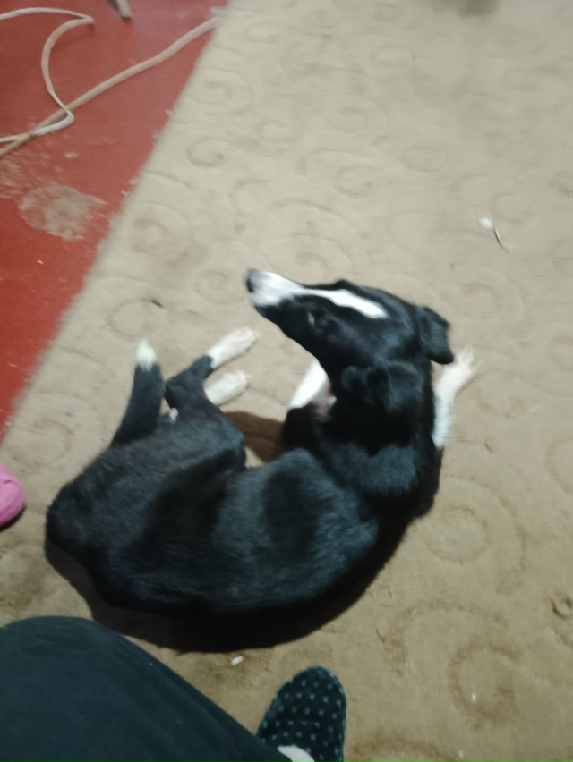 Чей ребенок потерялся? Недалеко от перекрёстка Феврал?...