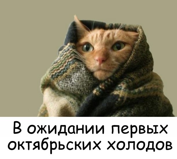 Есть ли тут те, кому ещё не дали отопление? Либо те, у ко?...