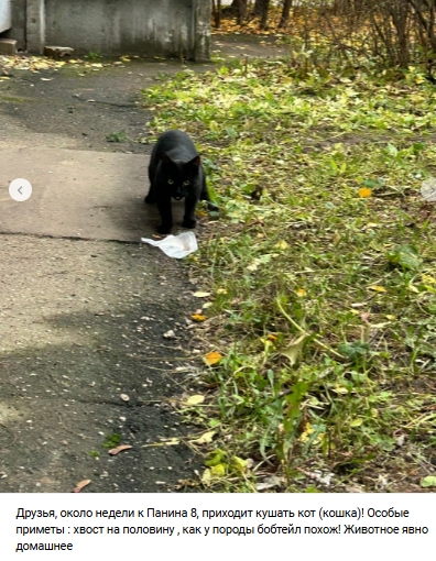 Пост добра. Распространите, пожалуйста.