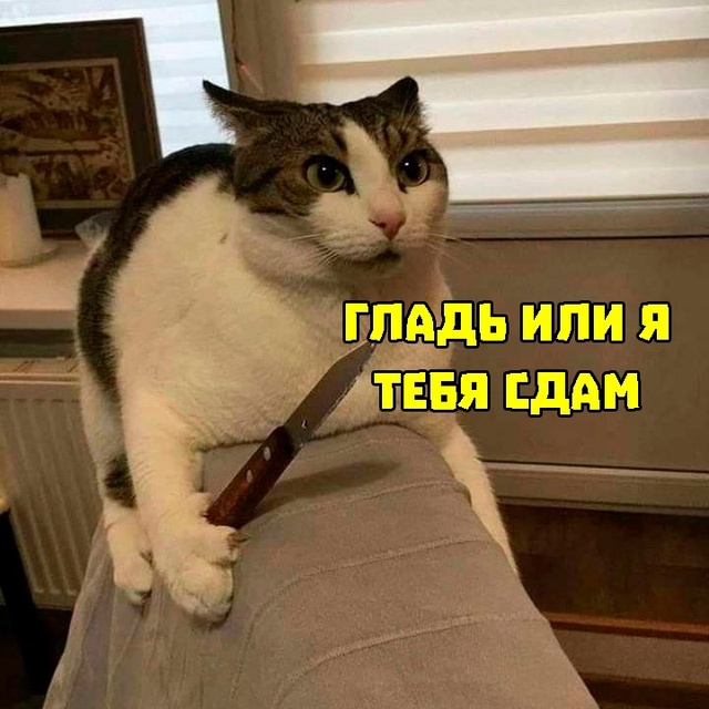 В России решили увеличить штрафы за ненадлежащее соде?...