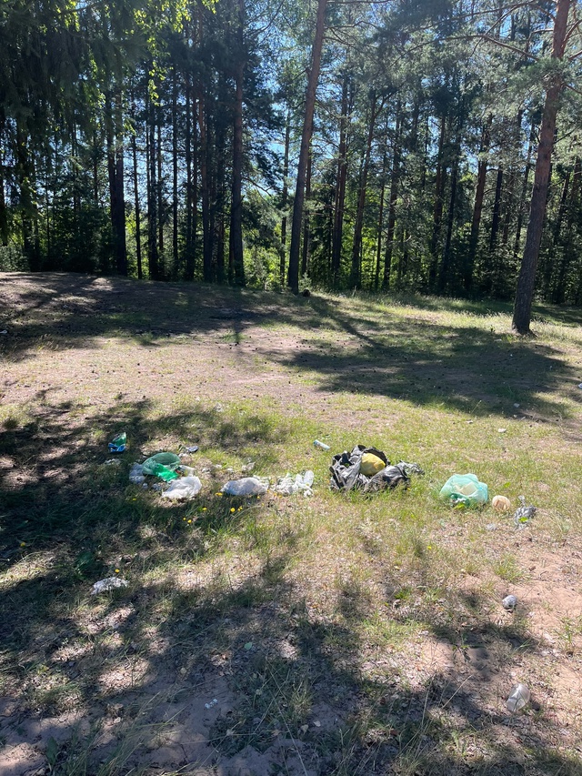Если люди так любят отдыхать на природе, то почему они ?...