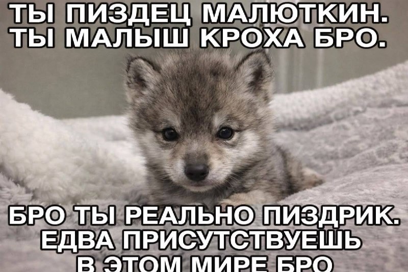 тот самый челик с ростом 175, когда узнал, что у тебя рост 170