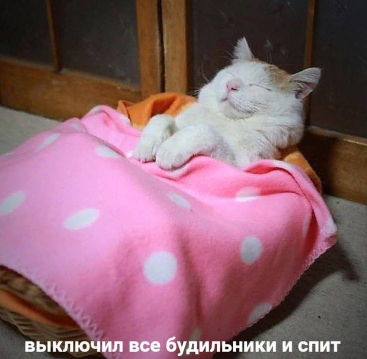 Утренняя подборочка