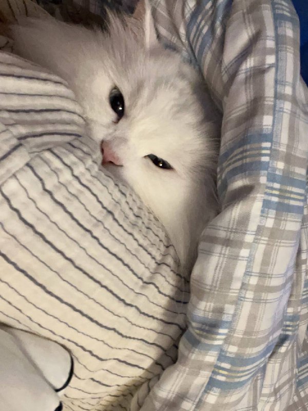 Укутываемся потеплее и спотб :3