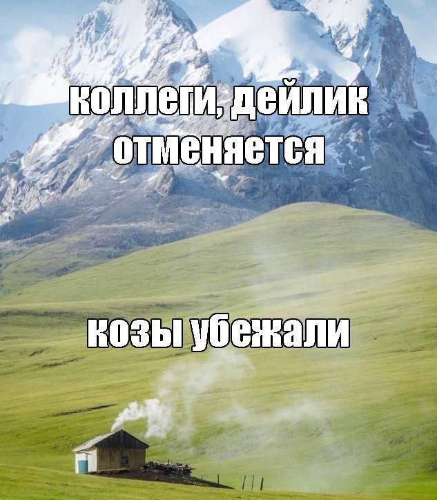 Утренняя подборочка