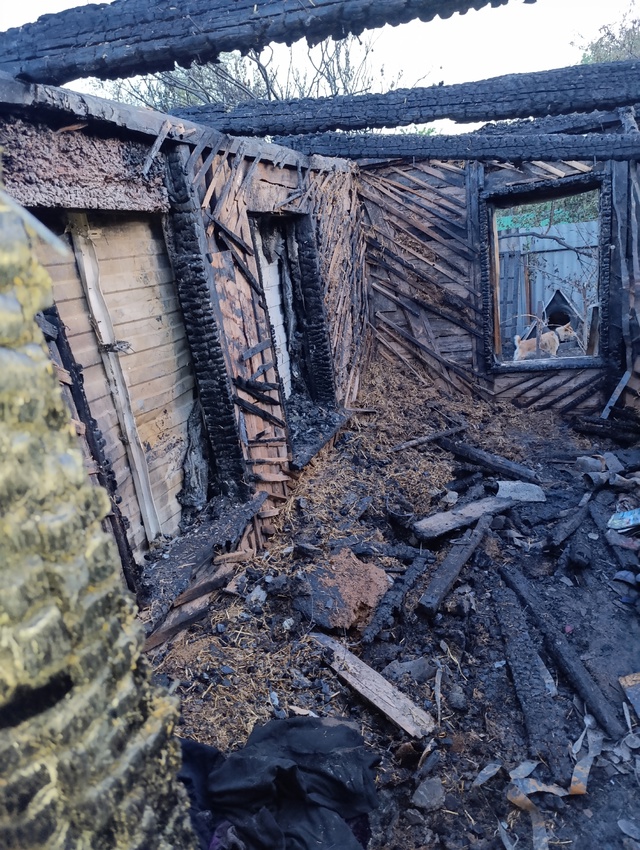 Здравствуйте в нашей семье случилось горе 😔 наш дом с?...