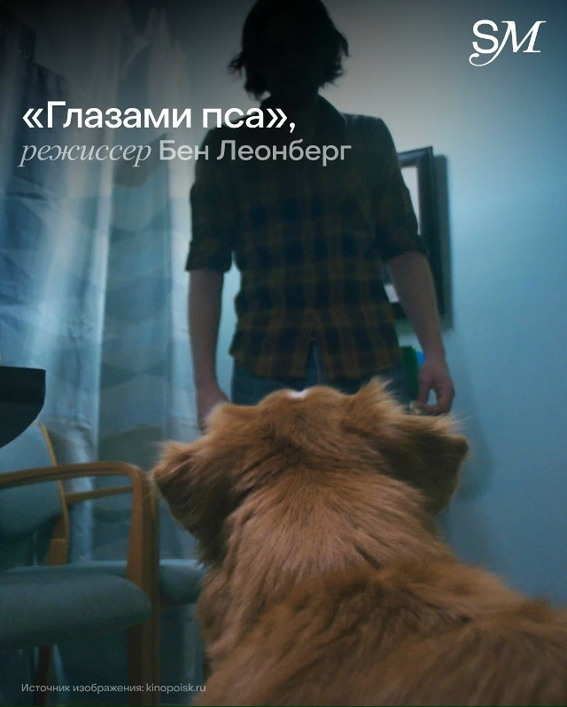 Представляю вашему вниманию 10 лучших хорроров 2025 года