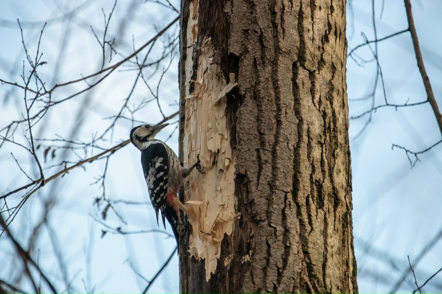 В парке ... 👀