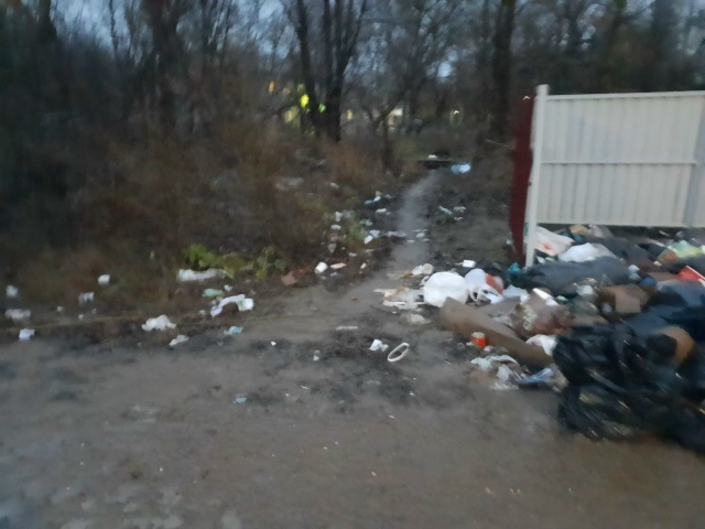 На днях было опубликовано,что все мусорки в Бузулуке о?...