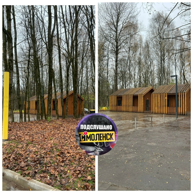 Безусловно, радует, что наш Реадовский парк так облаго?...