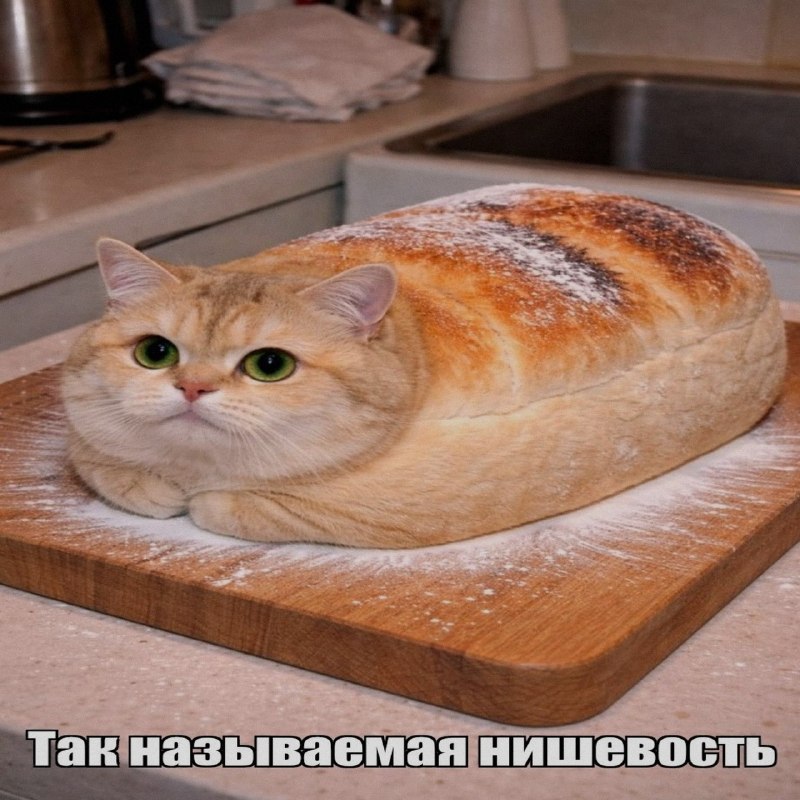 Ночная подборочка
Спать, режим