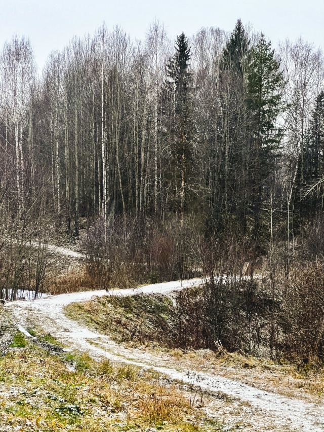 Ещё одна попытка зимы обосноваться в наших краях.
Фото...