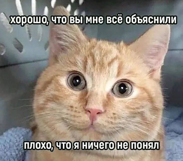 Утренняя подборочка