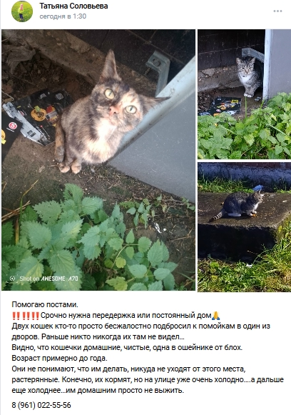 Пост добра. Распространите, пожалуйста.