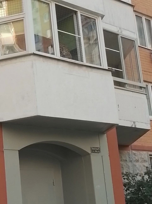 Народ, смотрите что у нас в Балашихе творится! Иду по дв...