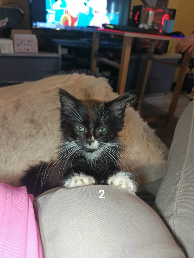 #ПотерялиНашлиПомогите
1 Кто потерял, бегает у мини ры...