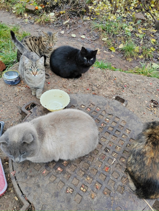 ‼️Добрый день всем участникам группы. 😉
Кто может пр...