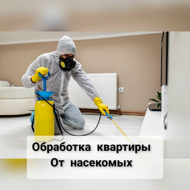 ⬇ Коротко в картинках о нашей работе☘️ Работаем по за...