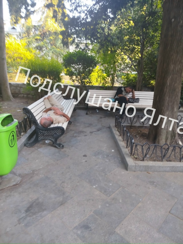 Парки и скверы Ялтинского региона обработают от разли?...